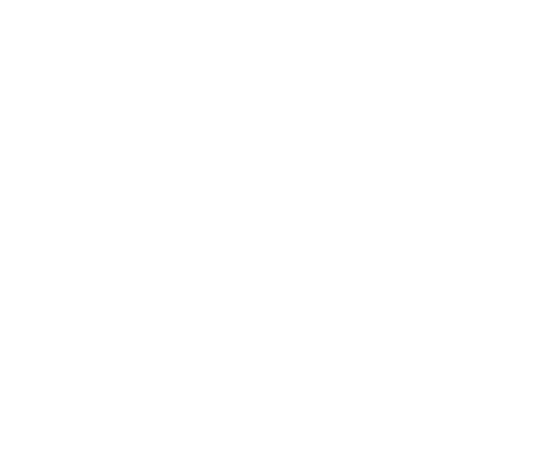 apinfrastructures.com