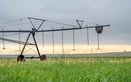 Corbly Mountain Ranch